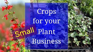 Plants for your Small Nursery Business