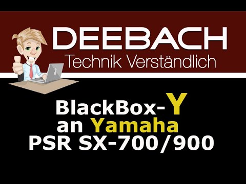 Deebach BlackBox-Y an Yamaha SX-700-900