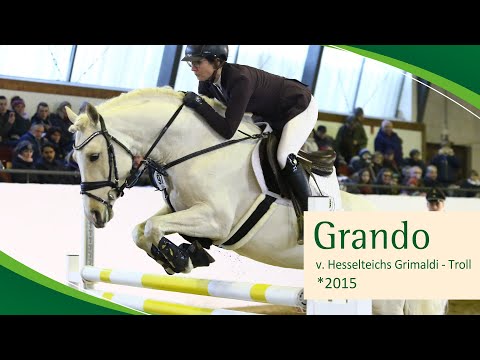 GRANDO v. Hesselteichs Grimaldi - Troll