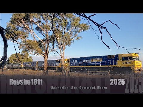 1MP2 - NR77-NR25-NR49 (PacNat Steel) Murgheboluc - Australian Trains by Raysha1811