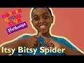 Itsy Bitsy Spider Mother Goose Club Playhouse Kids Video
