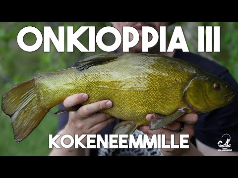 Onkioppia III - Kokeneemmille