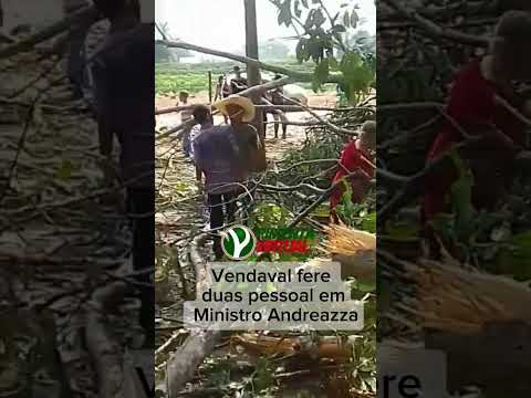Vendaval em Ministro Andreazza derruba árvore e deixa duas pessoas em estado grave