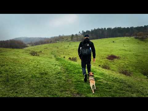 Mols Bjerge Extended Cut – 3 Epic Hikes with my Dog Enzo!
