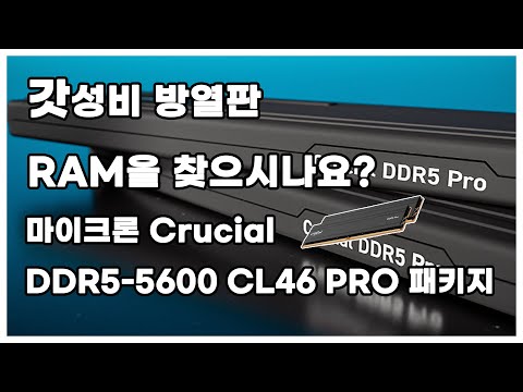 [RE:VIEW]  마이크론 Crucial DDR5-5600 CL46 PRO 패키지