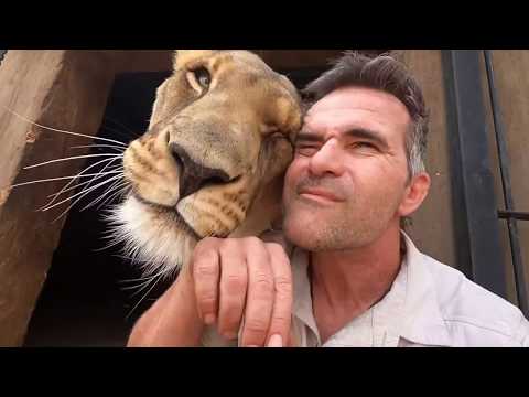 Animal Reunion | The Lion Whisperer