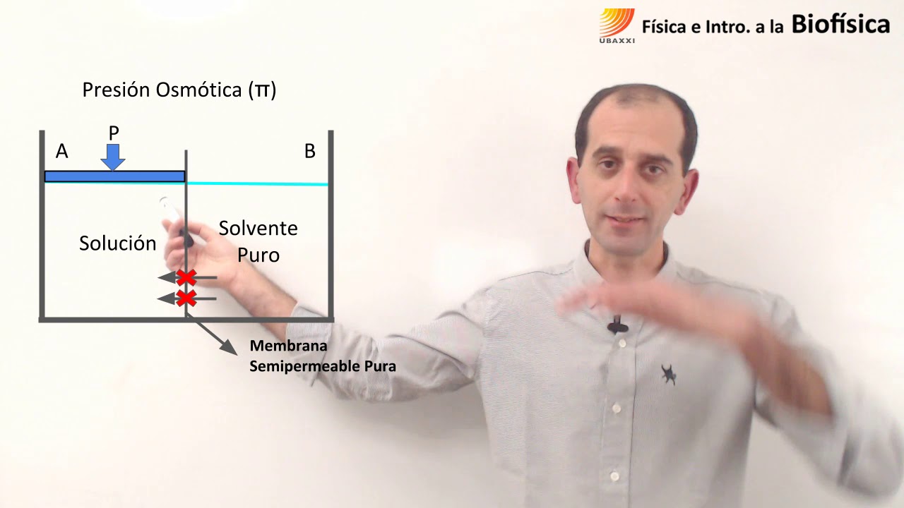 48. Física e Introducción a la Biofísica. Osmosis y Presión osmótica
