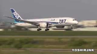 preview picture of video 'Dreamliner Landing ANA (All Nippon Airways) Boeing 787-8 Dreamliner JA816A in TOYAMA Airport'
