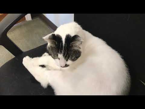 National Lazy Day at SERVPRO of Alexander & Caldwell Counties