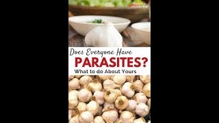 Master Herbalist Patrick Delves: Parasite Cleanse and it's importance