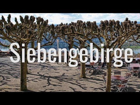 Vier Gipfel an einem Tag / Eine Wanderung im Siebengebirge