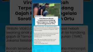 Viral Momen Bocah Terperosok ke Kandang Gajah Ragunan, Pengelola Soroti Pengawasan Orangtua