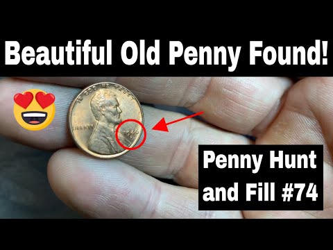 Penny Hunt and Fill #74 - Another Fun 2 Box Hunt!