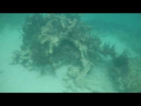 Videos del Pineapple Beach Club 4★ en Willikies, Antigua y BarbudaVer MásVerPrecios20CerrarConsulta por Whatsapp 🇦🇷BookingTripadvisorExpediaAgodaTravelocityOrbitzPricelineTripSkyscannerDespegarKayakHotelesDestiniaTrivagoTurismocityLastminuteHotwireCheapticketsTuiWotif