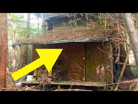 Förster findet eine geheimnisvolle Hütte im Wald - Nach dem Betreten wartete eine Überraschung!