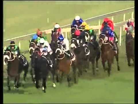 2010 Dingaans (grade 2) won by The Apache