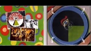 13th Floor Elevators - Roller Coaster