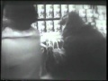 Ava Polvere Segni Dello Zodiaco 1975