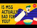 What is MSG, and is it actually bad for you? - Sarah E. Tracy