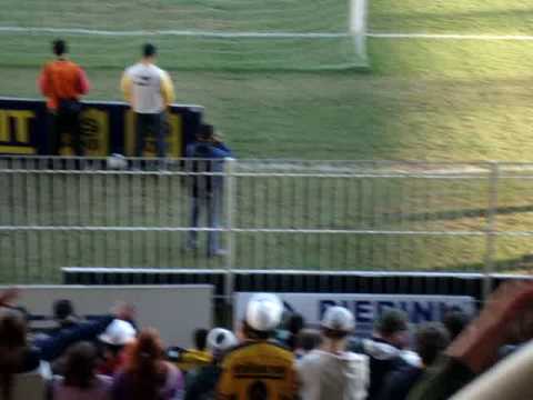 comemoração depois do primeiro gol do tigre - criciúma x brasil de pelotas (12/07/09)