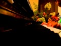 Vyas Piano Please No Bees
