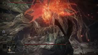 Re: [閒聊] 法環-終於純近戰打贏女武神了