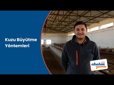 Kuzu Büyütme Yöntemleri
