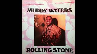 Muddy Waters - Walking Thru The Park