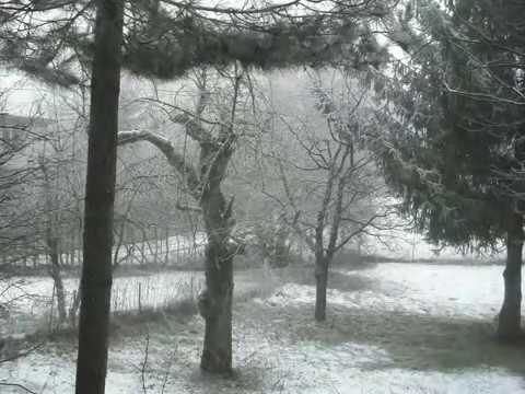 Master Margherita - Opus 5