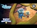 Puppy Vriendjes | ? Puppyduikers | Disney Channel NL