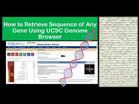 How to Retrieve Sequence of Any Gene of Any Species Using UCSC Genome Browser