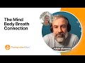 The Mind Body Breath Connection with Adam Stanecki | Mira Dessy, The Ingredient Guru