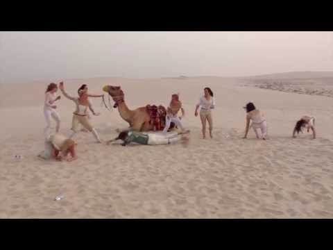 Harlem Shake (team neuss edition)