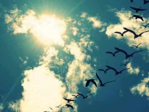 download lagu mp3 mp4 Brooke Fraser Day Is Dimming Lyrics, download lagu Brooke Fraser Day Is Dimming Lyrics gratis, unduh video klip Brooke Fraser Day Is Dimming Lyrics