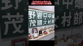 ゴールデンウィークは是非、藤井寺市のアイセルシュラホールへ。#近鉄バファローズ #藤井寺市 #プロ野球