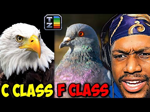 Birds' True Rankings Aren't What I Expected