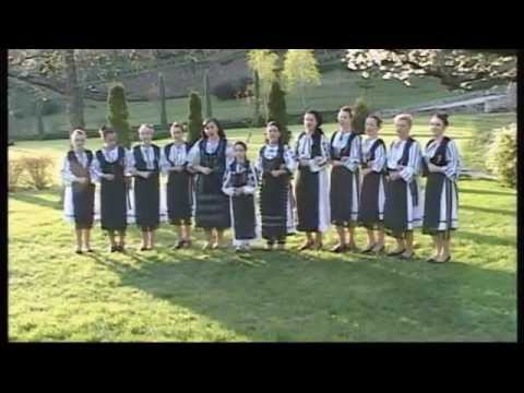 ANSAMBLUL RITMURI ZARANDENE Grup feminin - Frunzulita maghiran