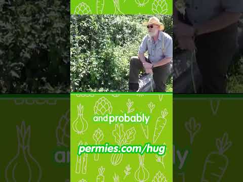 Hügelkultur Efficacy: Proof It Works!