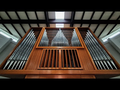 1967 BECKERATH | 2023 BAKO | II/25 (9+9+7) Organ | Martin-Sever (SK) | TOUR OF STOPS (Presentation)