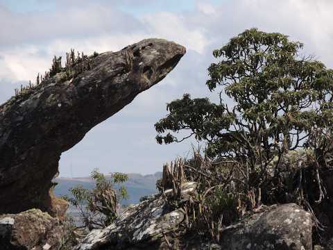 CHAPADA DAS PERDIZES CARRANCAS MINDURI MINAS GERAIS BRASIL