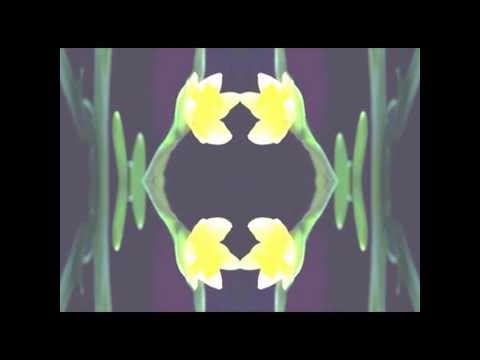 download lagu mp3 mp4 Kza Fallin, download lagu Kza Fallin gratis, unduh video klip Kza Fallin