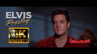 Elvis Presley - Beach boy Blues (1961) AI 4K Enhanced Stabilized