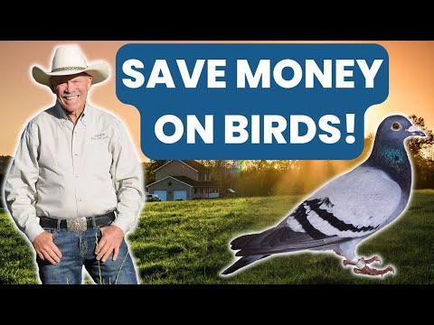 SAVE HUNDREDS OF DOLLARS on Birds in the Field While Training Your Hunting Dog