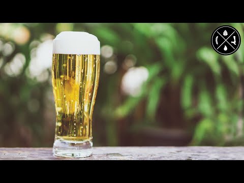 Storing Sanitizer, Yeast & Clear Beer, Putting Faucet Together, & Cleaning Your Beer Lines - Ep. 323