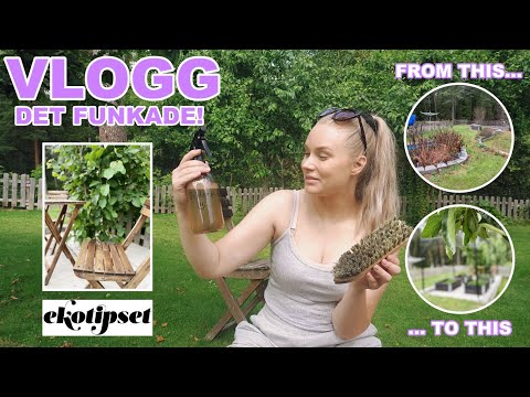 VI BYGGER MITT VÄXTHUS | VLOGG