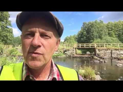 Gångbro över Årån i Värnamo kommun