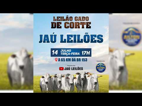 LEILÃO GADO DE CORTE  - JAU LEILÕES  - JAU DO TOCANTINS  -14 / 07 / 2026