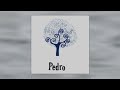 Pedro - S/T 12" (1999)
