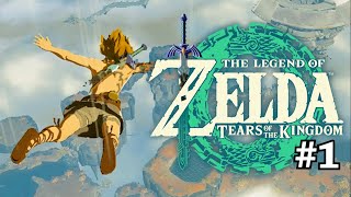 Can I Beat It Without Dying: Let's Play All of The Legend of Zelda: Tears of the Kingdom - Day 1