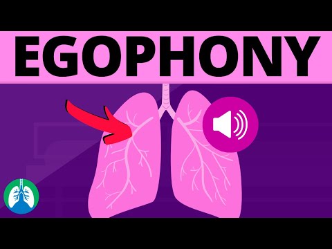 Egophony (Medical Definition) | Quick Explainer Video